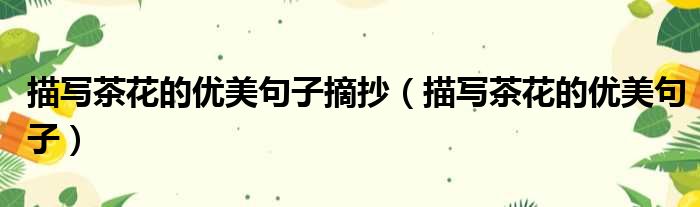 描写茶花的优美句子摘抄 描写茶花的优美句子