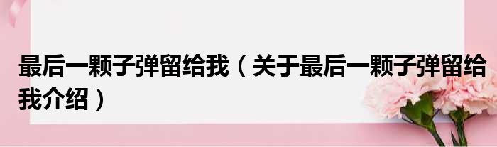 最后一颗子弹留给我 关于最后一颗子弹留给我介绍