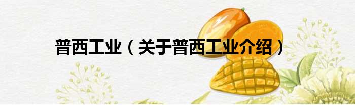 普西工业 关于普西工业介绍