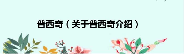 普西奇 关于普西奇介绍