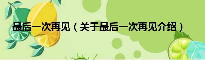 最后一次再见 关于最后一次再见介绍