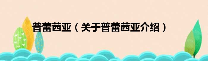 普蕾茜亚 关于普蕾茜亚介绍