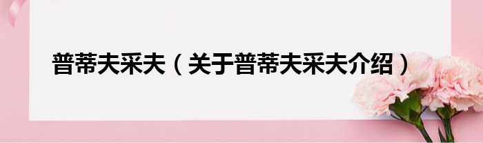 普蒂夫采夫 关于普蒂夫采夫介绍