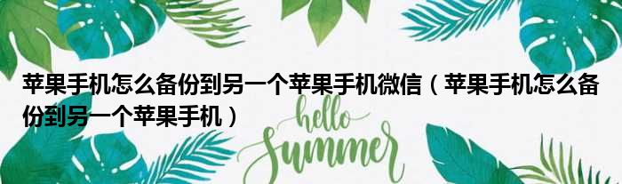 苹果手机怎么备份到另一个苹果手机微信 苹果手机怎么备份到另一个苹果手机
