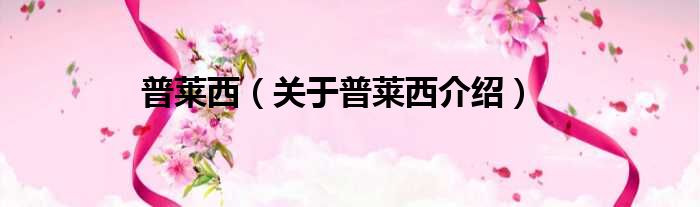 普莱西 关于普莱西介绍