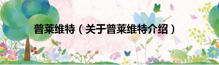 普莱维特 关于普莱维特介绍