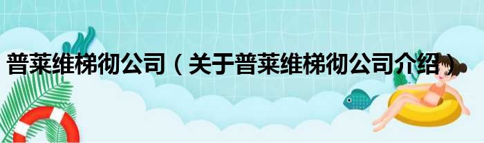 普莱维梯彻公司 关于普莱维梯彻公司介绍