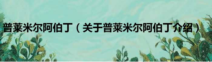 普莱米尔阿伯丁 关于普莱米尔阿伯丁介绍