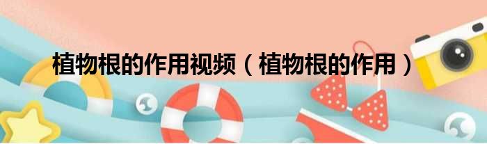 植物根的作用视频 植物根的作用