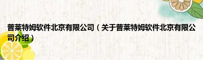 普莱特姆软件北京有限公司 关于普莱特姆软件北京有限公司介绍