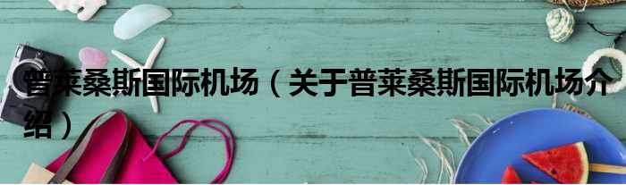 普莱桑斯国际机场 关于普莱桑斯国际机场介绍