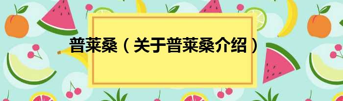 普莱桑 关于普莱桑介绍