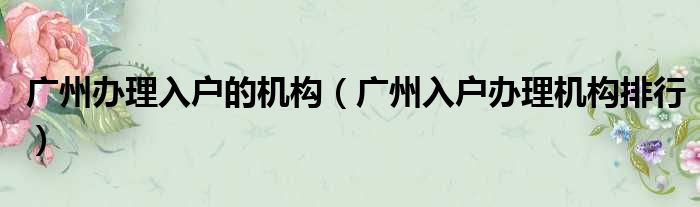 广州办理入户的机构 广州入户办理机构排行