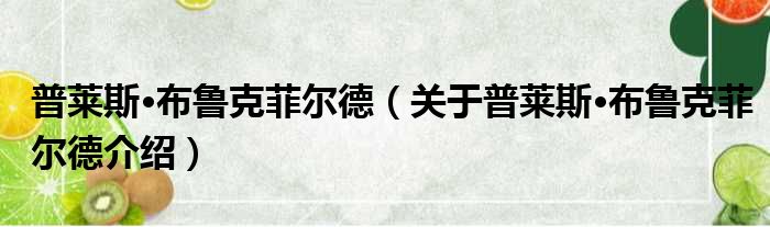 普莱斯·布鲁克菲尔德 关于普莱斯·布鲁克菲尔德介绍
