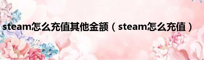 steam怎么充值其他金额 steam怎么充值