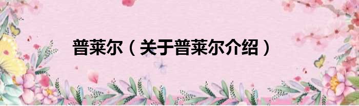 普莱尔 关于普莱尔介绍