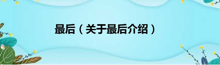 最后 关于最后介绍