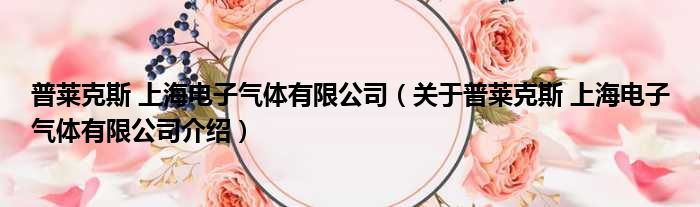 普莱克斯 上海电子气体有限公司 关于普莱克斯 上海电子气体有限公司介绍