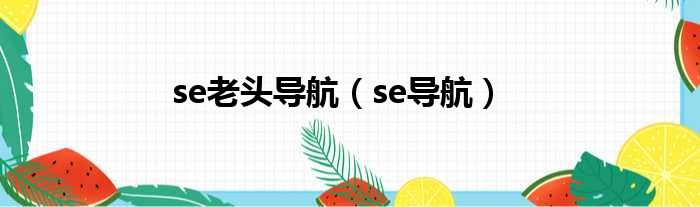 se老头导航 se导航