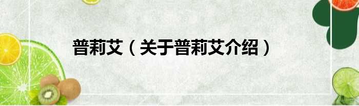 普莉艾 关于普莉艾介绍