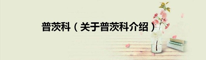 普茨科 关于普茨科介绍