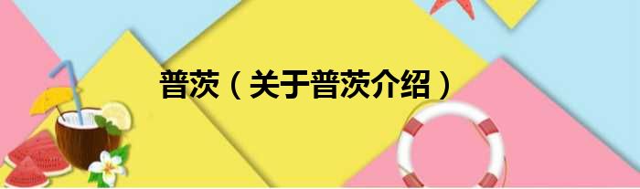 普茨 关于普茨介绍