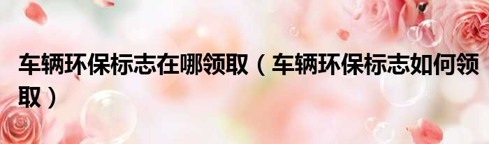 车辆环保标志在哪领取 车辆环保标志如何领取