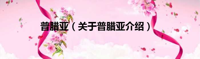 普腊亚 关于普腊亚介绍