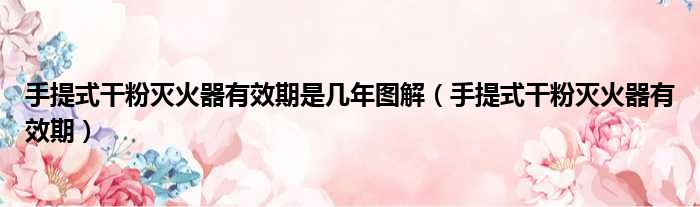 手提式干粉灭火器有效期是几年图解 手提式干粉灭火器有效期