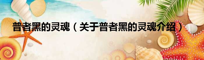 普者黑的灵魂 关于普者黑的灵魂介绍