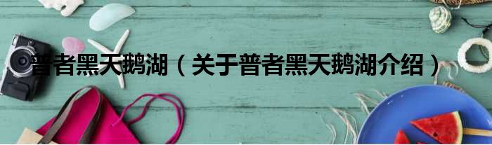 普者黑天鹅湖 关于普者黑天鹅湖介绍