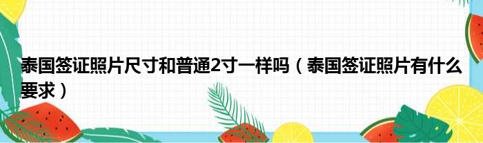 泰国签证照片尺寸和普通2寸一样吗 泰国签证照片有什么要求