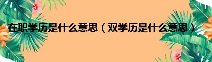 在职学历是什么意思 双学历是什么意思