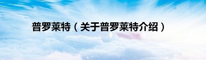 普罗莱特 关于普罗莱特介绍