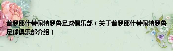 普罗耶什蒂佩特罗鲁足球俱乐部 关于普罗耶什蒂佩特罗鲁足球俱乐部介绍