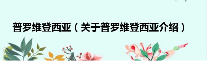 普罗维登西亚 关于普罗维登西亚介绍