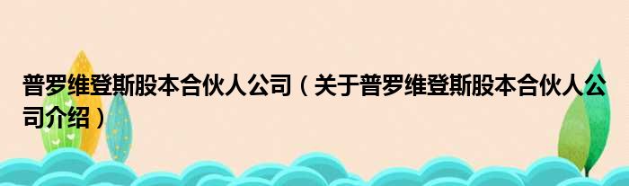 普罗维登斯股本合伙人公司 关于普罗维登斯股本合伙人公司介绍