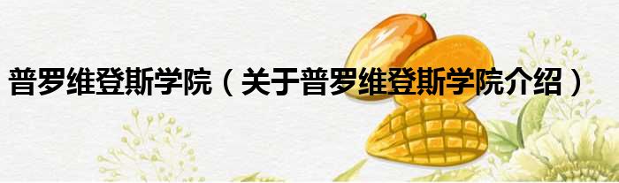 普罗维登斯学院 关于普罗维登斯学院介绍