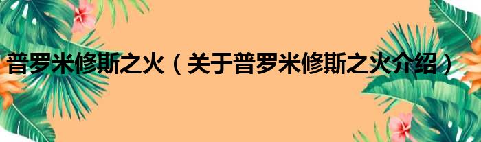 普罗米修斯之火 关于普罗米修斯之火介绍