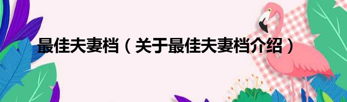 最佳夫妻档 关于最佳夫妻档介绍