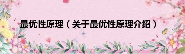 最优性原理 关于最优性原理介绍