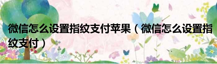 微信怎么设置指纹支付苹果 微信怎么设置指纹支付