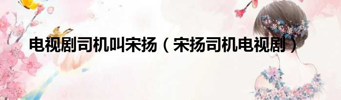 电视剧司机叫宋扬 宋扬司机电视剧
