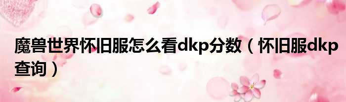 魔兽世界怀旧服怎么看dkp分数 怀旧服dkp查询