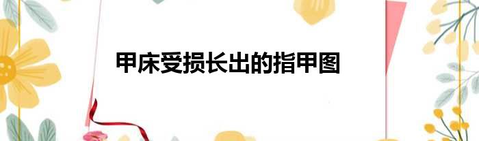 甲床受损长出的指甲图