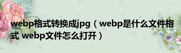 webp格式转换成jpg webp是什么文件格式 webp文件怎么打开