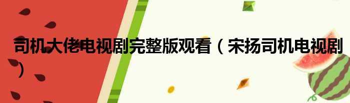 司机大佬电视剧完整版观看 宋扬司机电视剧
