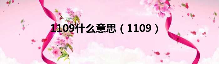 1109什么意思 1109