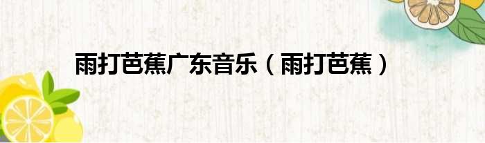 雨打芭蕉广东音乐 雨打芭蕉