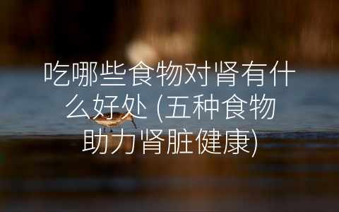 吃哪些食物对肾有什么好处 (五种食物助力肾脏健康)